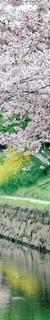 삼성역근처피부과, 인모드 꼭 내 고민에 적합한 시술인지 알아보고 시술해야 합니다. 관련 이미지 21
