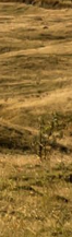 Gangnam Ulthera Prime: Shall We Explore the Story Behind the Upgraded Ulthera Together? image 23