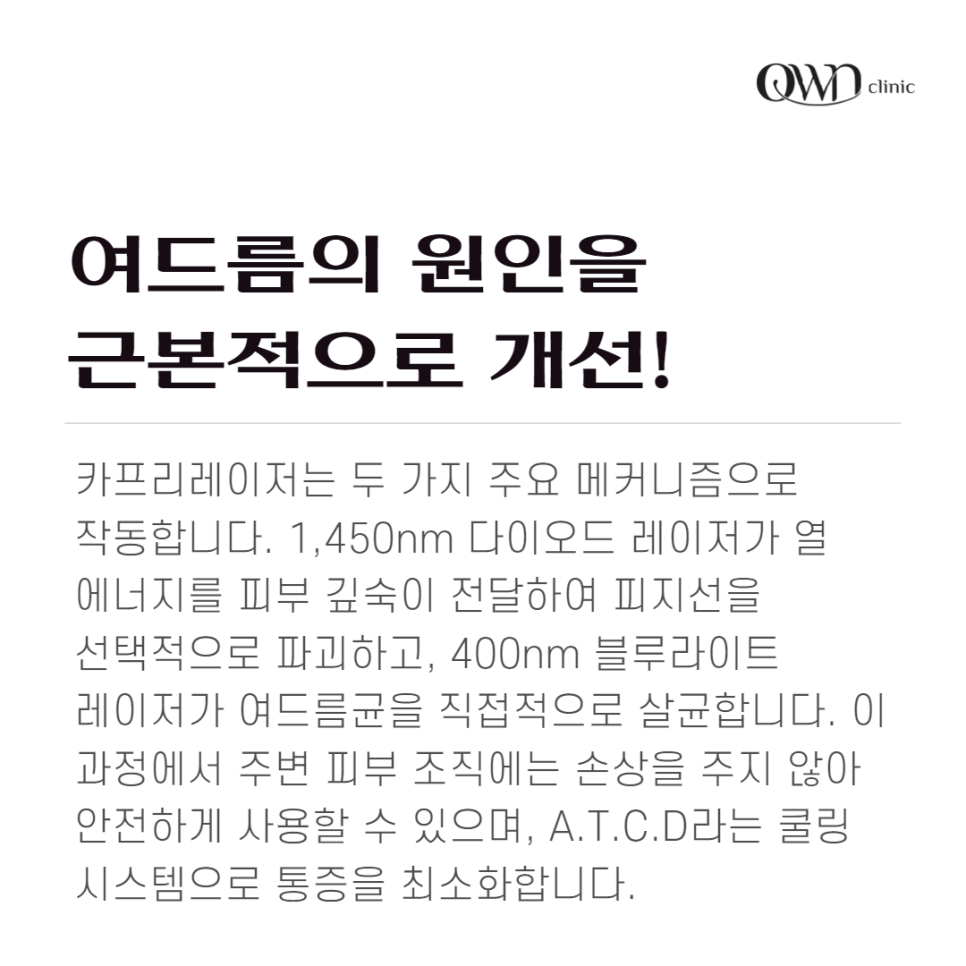 강남카프리레이저, 여드름, 모공 축소와 피부 탄력 개선까지?얻는 방법 관련 이미지 3