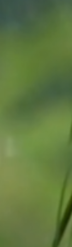 봉은사피부과, 모공, 흉터, 색소 질환까지? 복합적인 피부고민 &lsquo;실펌X&rsquo;가 도움이 될 수 있어요. 관련 이미지 27