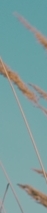 봉은사역피부과, 피코토닝, 모든 색소고민에 적합한 시술일까요? 관련 이미지 25