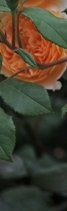삼성역필러, 목주름, 숨기고만 싶으셨나요?간단한 시술로 자신감 UP하는 방법 관련 이미지 29