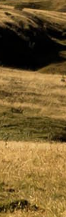 Gangnam Ulthera Prime: Shall We Explore the Story Behind the Upgraded Ulthera Together? image 19