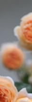 삼성역필러, 목주름, 숨기고만 싶으셨나요?간단한 시술로 자신감 UP하는 방법 관련 이미지 15