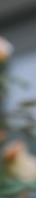 Gangnam Body Botox: You can create a smooth line by reducing the trapezius and calf muscles. image 35