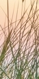 강남침샘보톡스, 무거운 얼굴선, 침샘비대증 의심된다면? 관련 이미지 11