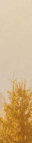 봉은사역피부과, 매력적인 인상의 핵심 입술필러, 시술 전 이것은 꼭 알아두세요. 관련 이미지 22