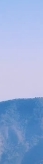 Gangnam Samseong-dong Dermatology Clinic: Why Belotero Revive Has Recently Been Getting the Most Attention image 10