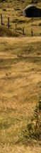 Gangnam Ulthera Prime: Shall We Explore the Story Behind the Upgraded Ulthera Together? image 36