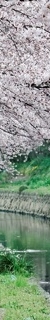 삼성역근처피부과, 인모드 꼭 내 고민에 적합한 시술인지 알아보고 시술해야 합니다. 관련 이미지 19