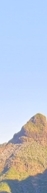 Gangnam Dermatology Clinic Hair Removal: How to Move Away from Irritating Self-Hair Removal | Laser Hair Removal image 10