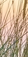 강남침샘보톡스, 무거운 얼굴선, 침샘비대증 의심된다면? 관련 이미지 13