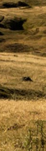 Gangnam Ulthera Prime: Shall We Explore the Story Behind the Upgraded Ulthera Together? image 20