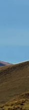 Gangnam Ulthera Prime: Shall We Explore the Story Behind the Upgraded Ulthera Together? image 32