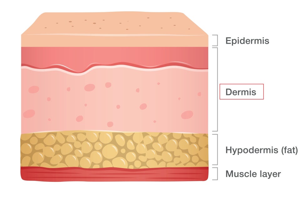 Why Thermage Is the Most Popular Treatment Recommended by Dermatology Clinics Near Samseong Station image 1