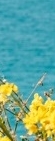 Recommended Dermatology Clinic in Samseong-dong: Thermage, and Why It May Seem to Have No Effect After the Procedure image 16