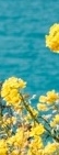 Recommended Dermatology Clinic in Samseong-dong: Thermage, and Why It May Seem to Have No Effect After the Procedure image 21