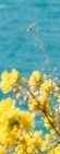 Recommended Dermatology Clinic in Samseong-dong: Thermage, and Why It May Seem to Have No Effect After the Procedure image 15