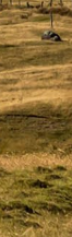 Gangnam Ulthera Prime: Shall We Explore the Story Behind the Upgraded Ulthera Together? image 33