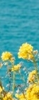 Recommended Dermatology Clinic in Samseong-dong: Thermage, and Why It May Seem to Have No Effect After the Procedure image 19