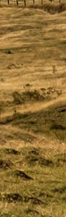 Gangnam Ulthera Prime: Shall We Explore the Story Behind the Upgraded Ulthera Together? image 24