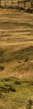 Gangnam Ulthera Prime: Shall We Explore the Story Behind the Upgraded Ulthera Together? image 34
