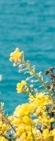 Recommended Dermatology Clinic in Samseong-dong: Thermage, and Why It May Seem to Have No Effect After the Procedure image 20