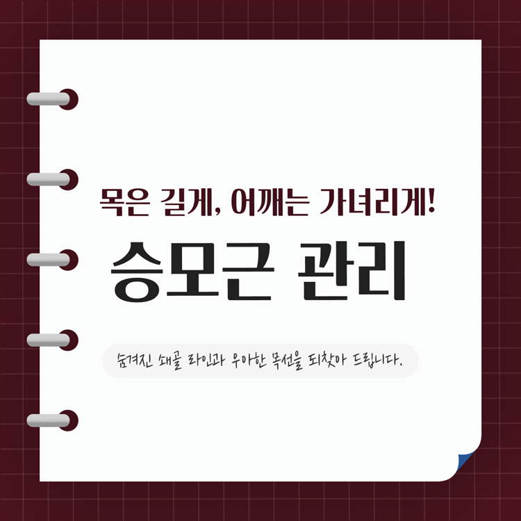 삼성역 근처 피부과 오운의원 제안하는 5월 본식 전, 가장 완벽한 드레스 라인을 만드는 법! 관련 이미지 3