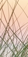 강남침샘보톡스, 무거운 얼굴선, 침샘비대증 의심된다면? 관련 이미지 10