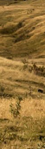 Gangnam Ulthera Prime: Shall We Explore the Story Behind the Upgraded Ulthera Together? image 21