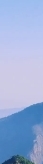 Gangnam Samseong-dong Dermatology Clinic: Why Belotero Revive Has Recently Been Getting the Most Attention image 9