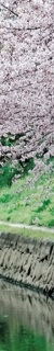 삼성역근처피부과, 인모드 꼭 내 고민에 적합한 시술인지 알아보고 시술해야 합니다. 관련 이미지 22