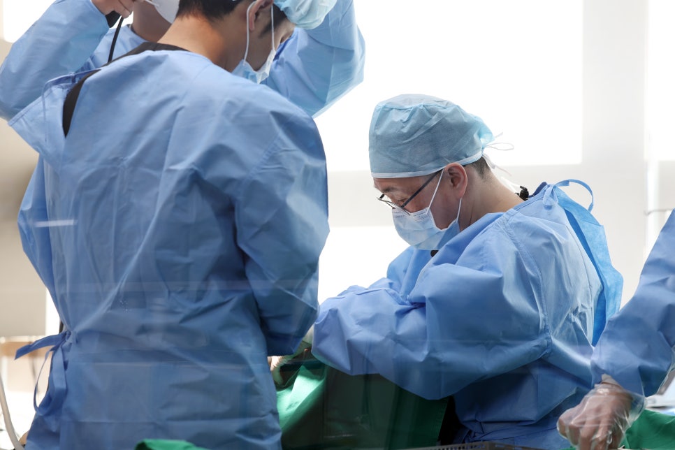 사랑니 발치, 꼭 빼야 할까요? - 사랑니 발치 관련 이미지 7