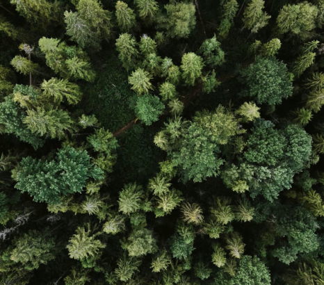 치과 향기 테라피 – 예스미르치과 시그니처 향으로 편안한 진료 시작 관련 이미지 4