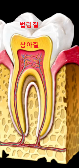 약수역 치과, 치아 미백 1회 방문으로 효과가 있을까?(feat. 원데이 미백) 관련 이미지 1
