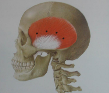 약수역치과, 턱관절 관련 질환(보톡스 치료) 관련 이미지 5
