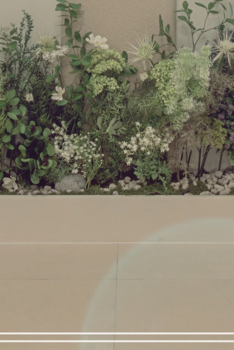 홍대 지방분해주사 누워서 하는 다이어트 방법? 관련 이미지 24