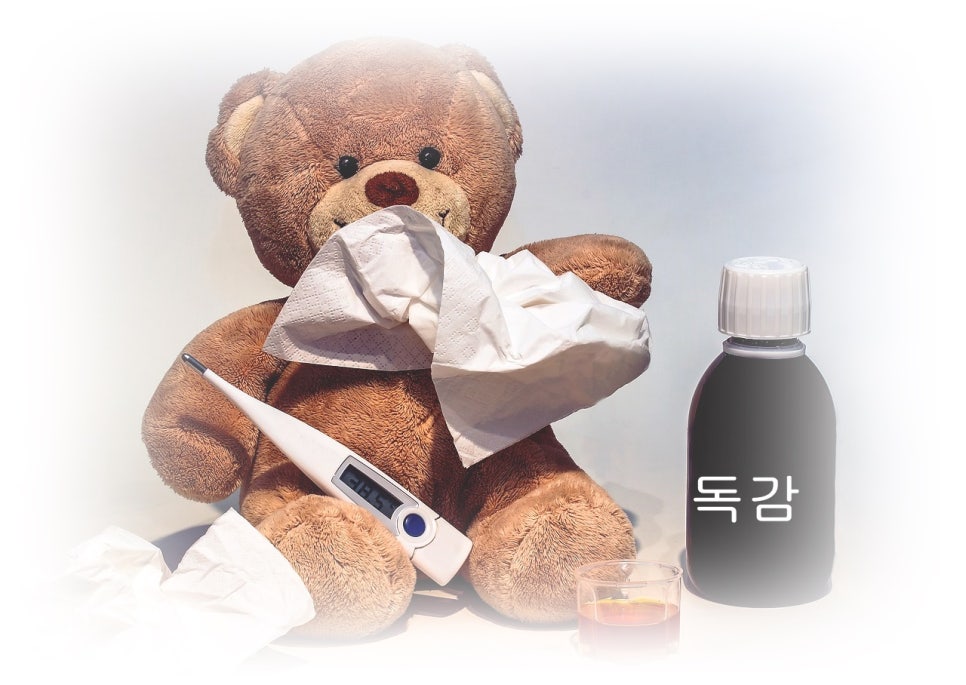 독감 치료 및 예방 관련 이미지 1