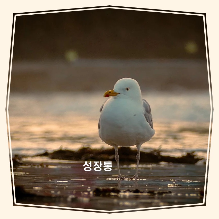 우리 아이 성장통 관련 이미지 1