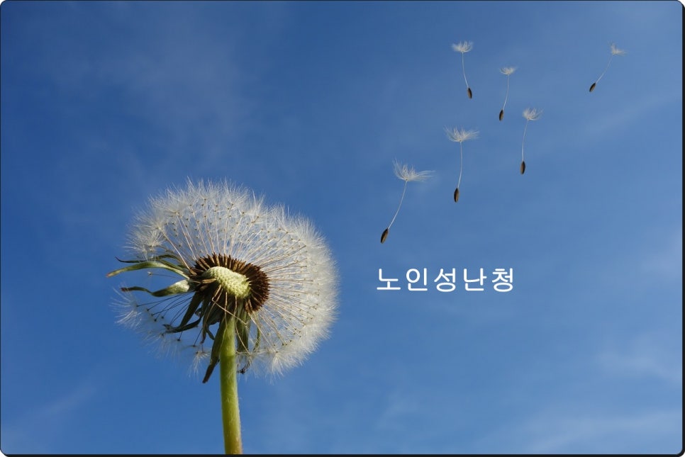 노인성난청 올바른 대처는? 관련 이미지 1