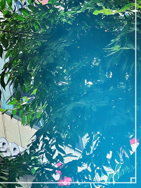 홍대입구 지방분해주사 건강한 다이어트 방법은? 관련 이미지 16