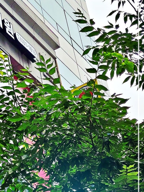 홍대입구 지방분해주사 건강한 다이어트 방법은? 관련 이미지 13