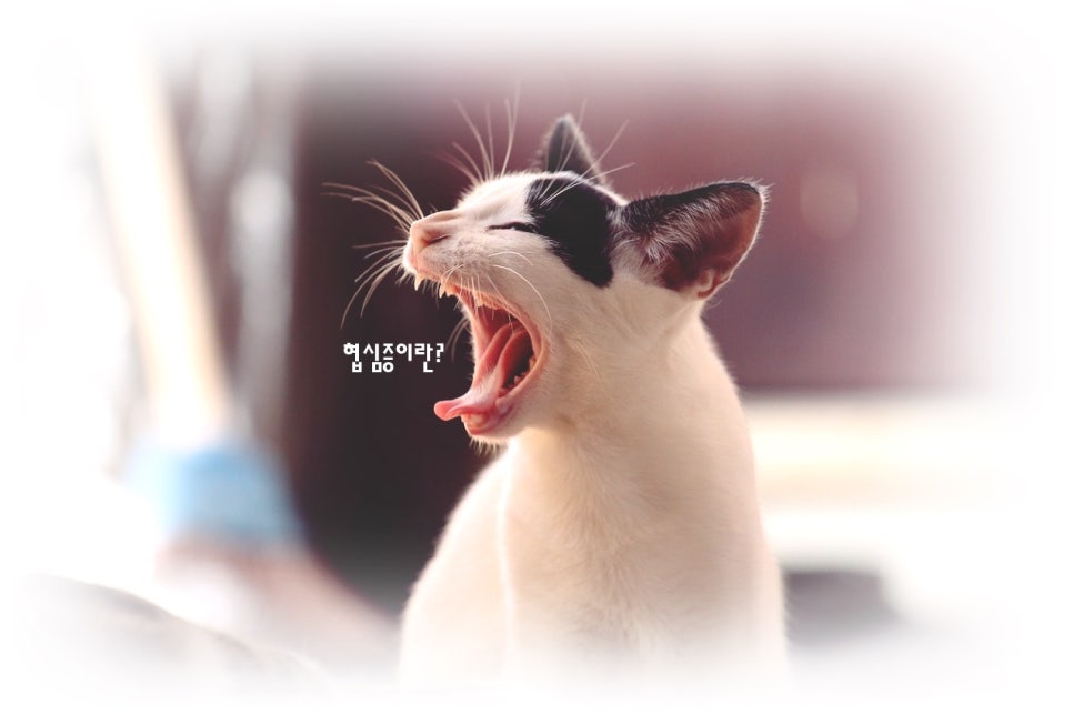 협심증 치료는 어떻게? 관련 이미지 1