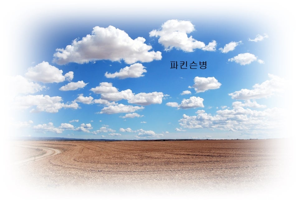 파킨슨병? 어떤 질환일까? 관련 이미지 1