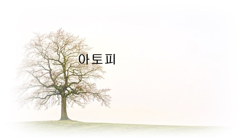 아토피 원인 및 치료 관련 이미지 1
