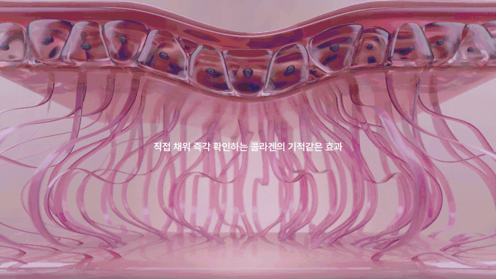 강남역 미라콜 - 리얼 콜라겐의 세계로 관련 이미지 4