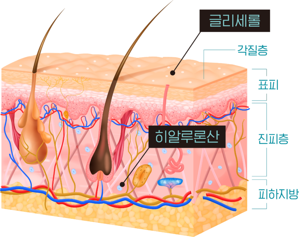 강남역 리바이브 - 광나는 피부를 원한다면 관련 이미지 3
