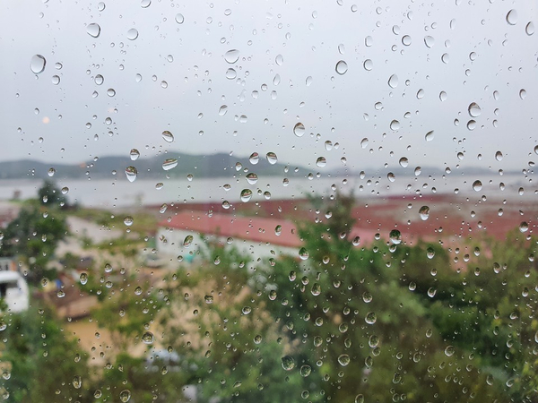 이국적인카페 정남향 관련 이미지 23