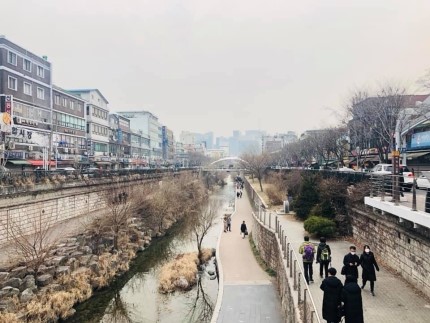 Gogo to Gwangjang Market for a Food Tour image 9