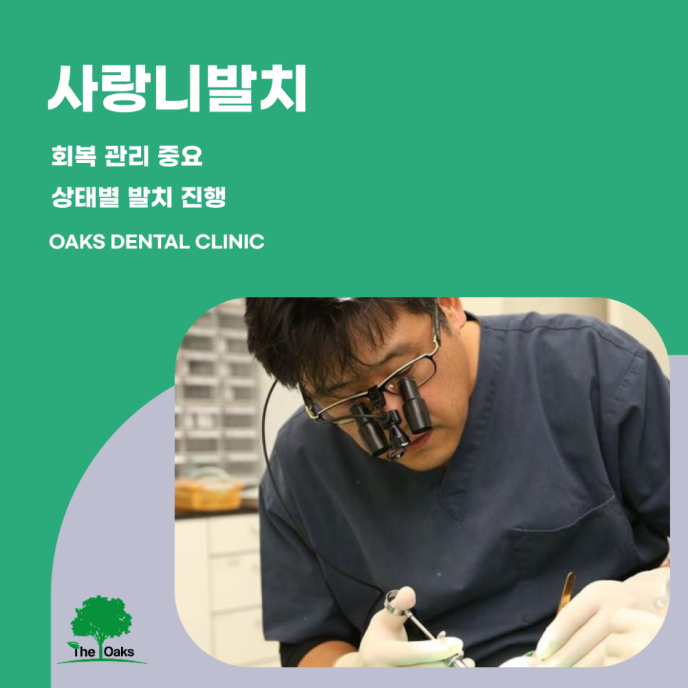 도곡동치과 매복사랑니 통증이 없어도 확인이 필요한 이유 관련 이미지 4